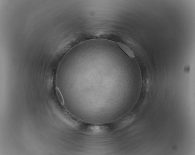 X0000112100558200908111420
