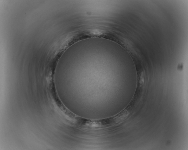X0000112100559200908111420