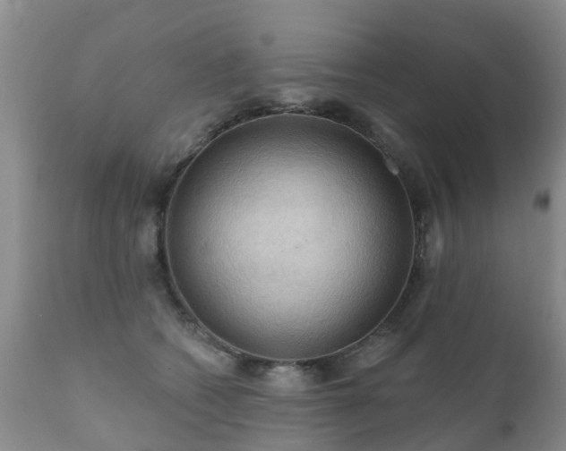 X0000112100562200908111420