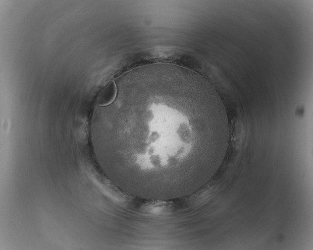 X0000112100563200908111420