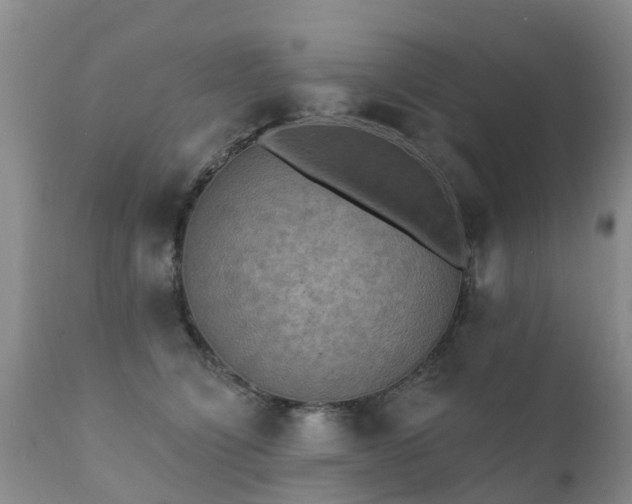 X0000112100564200908111420