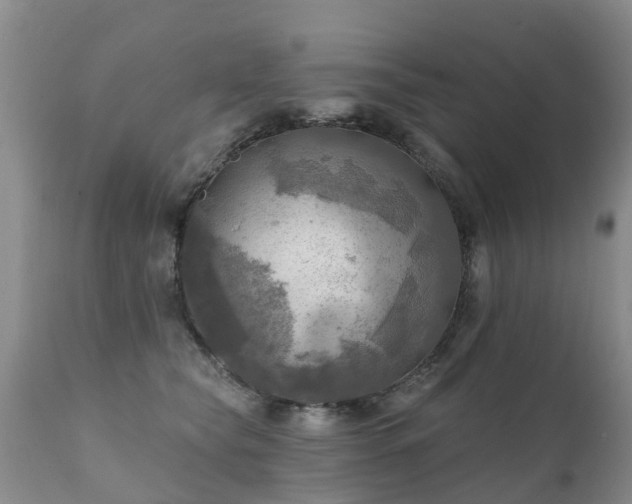 X0000112100565200908111420