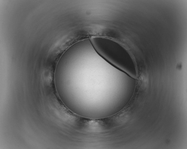 X0000112100566200908111420