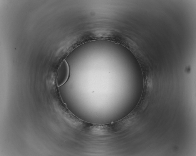 X0000112100567200908111420