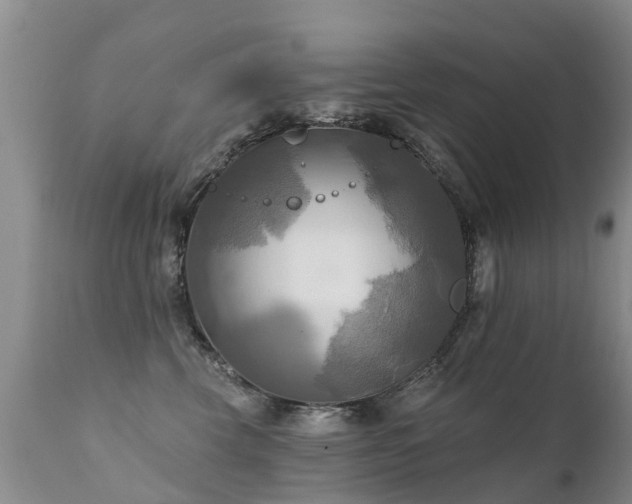 X0000112100569200908111420