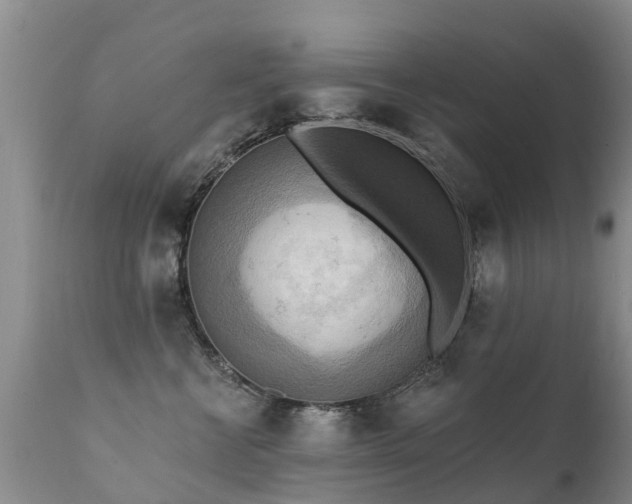 X0000112100570200908111420
