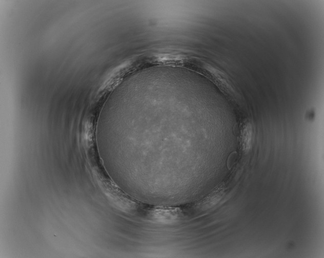 X0000112100571200908111420