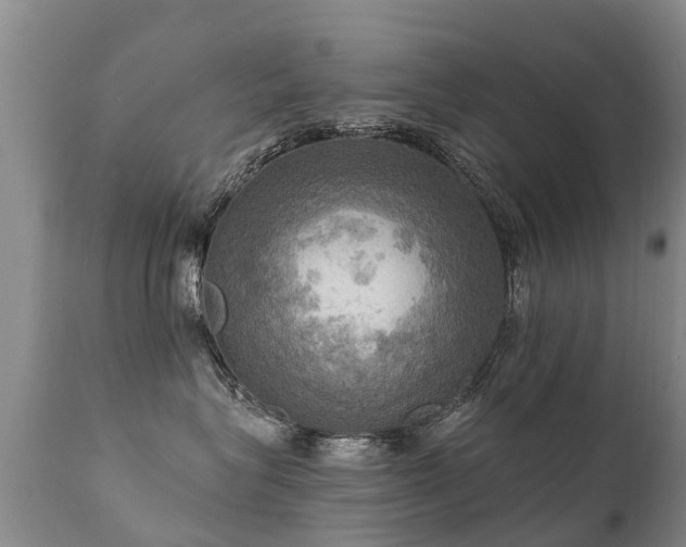 X0000112100575200908111420