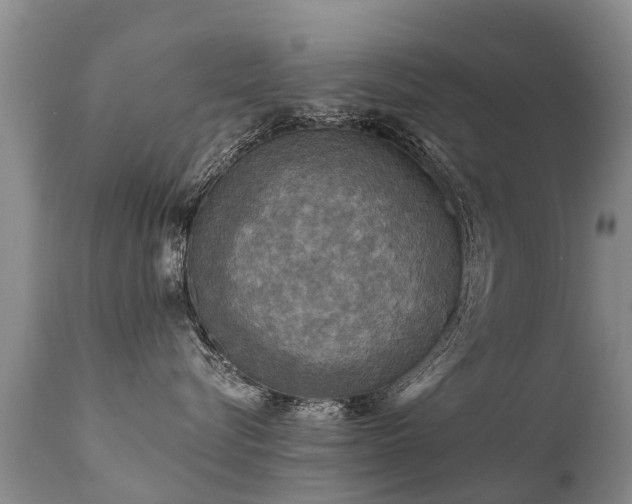X0000112100576200908111420