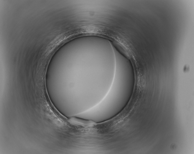 X0000112100577200908111420