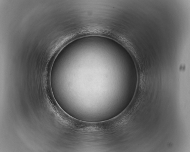 X0000112100578200908111420