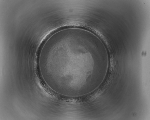 X0000112100580200908111420