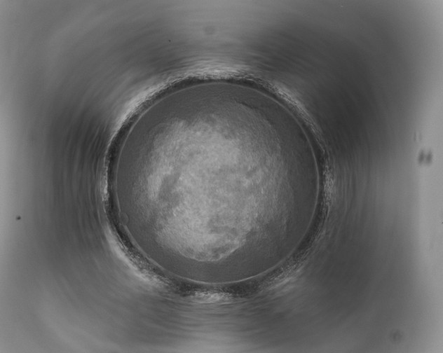 X0000112100582200908111419