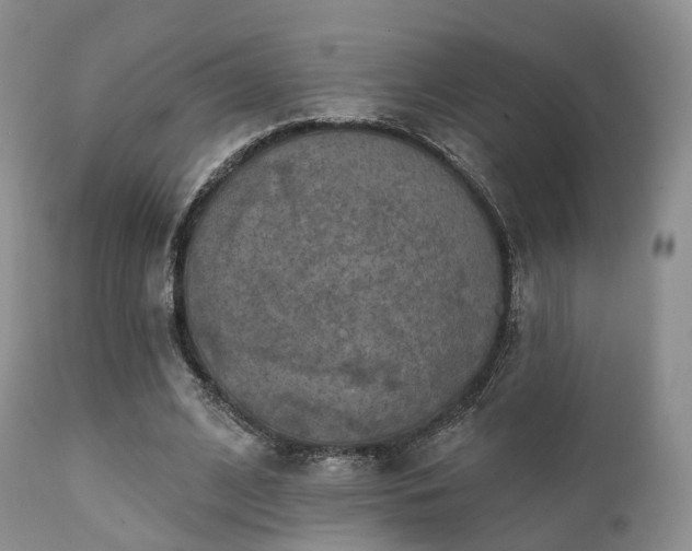 X0000112100584200908111419