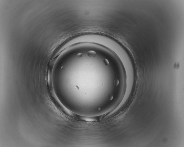 X0000112100585200908111419