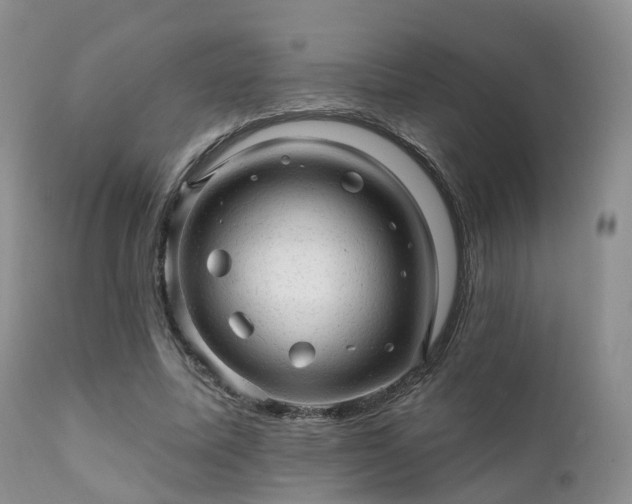 X0000112100587200908111419