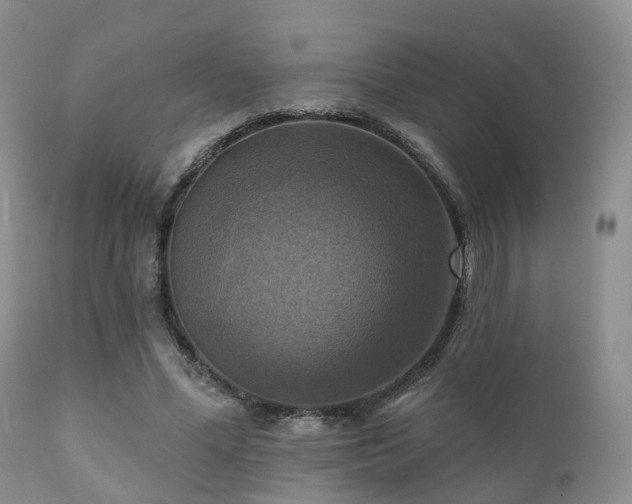 X0000112100588200908111419