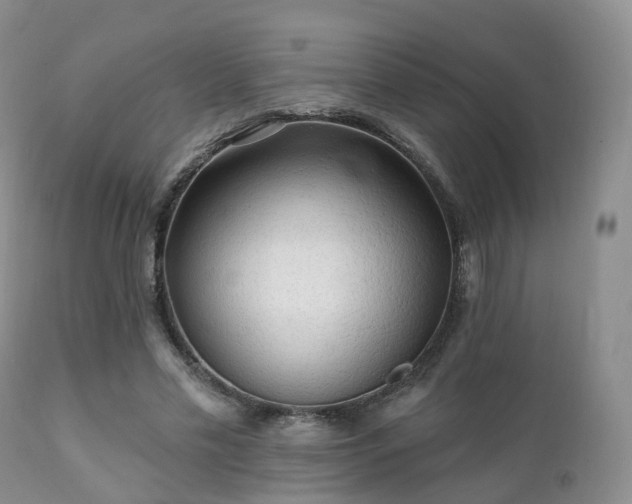 X0000112100589200908111419