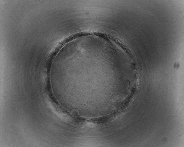 X0000112100592200908111419