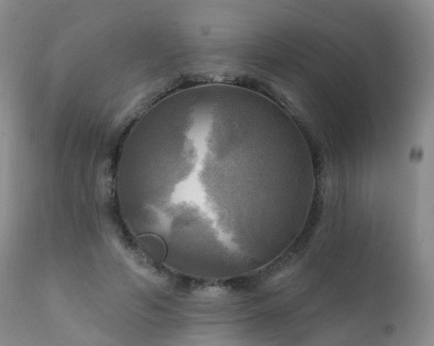X0000112100594200908111419