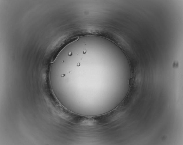 X0000112100595200908111419