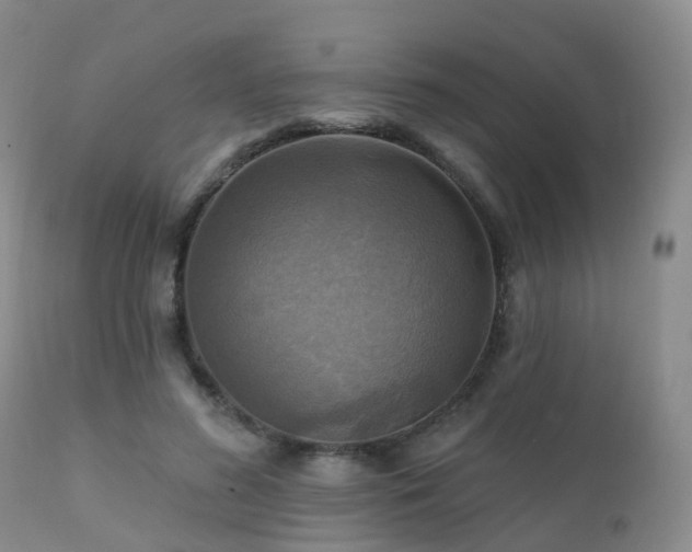 X0000112100596200908111419