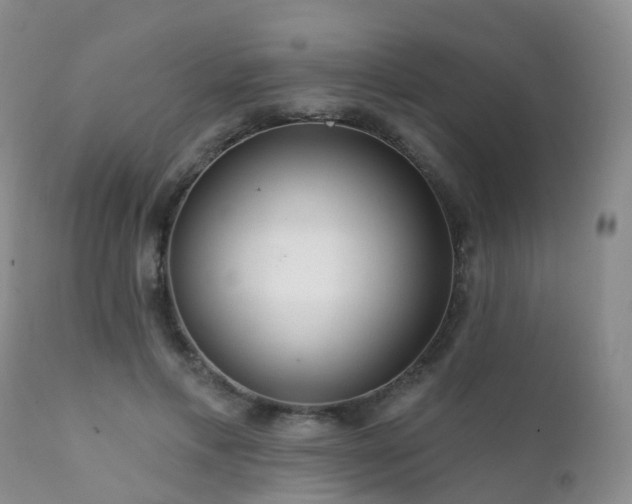 X0000112100597200908111419
