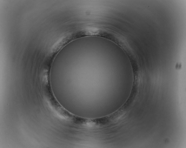 X0000112100598200908111419