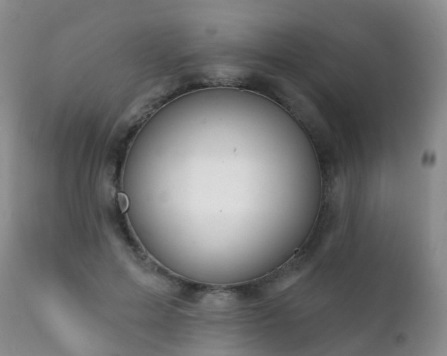 X0000112100599200908111419
