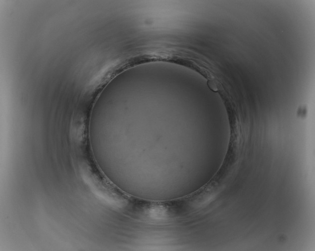 X0000112100600200908111419