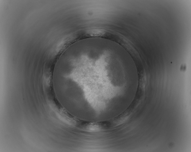 X0000112100604200908111419