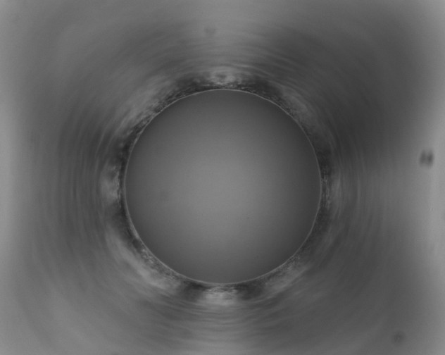 X0000112100606200908111419