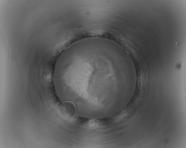 X0000112100608200908111419