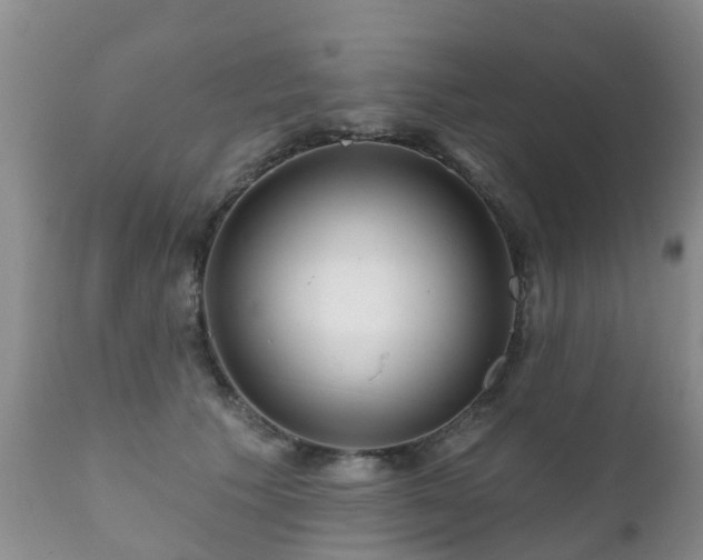 X0000112100609200908111419