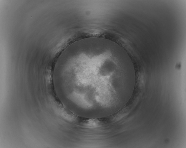X0000112100612200908111419