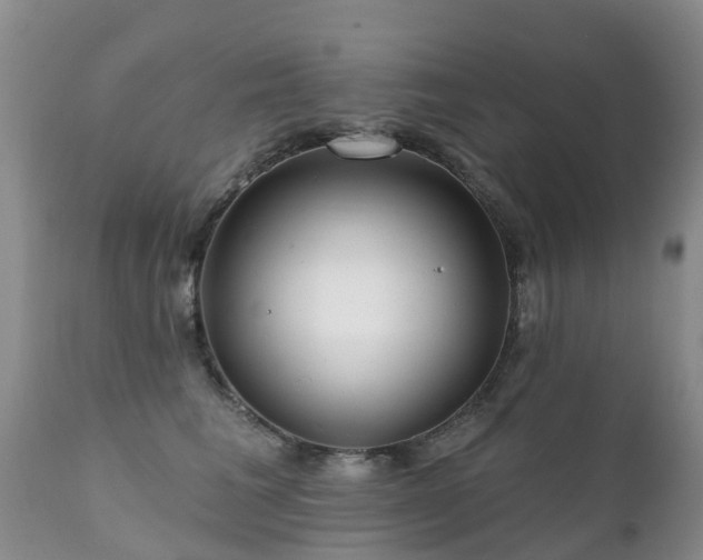 X0000112100613200908111419