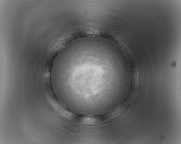 X0000112100614200908111419