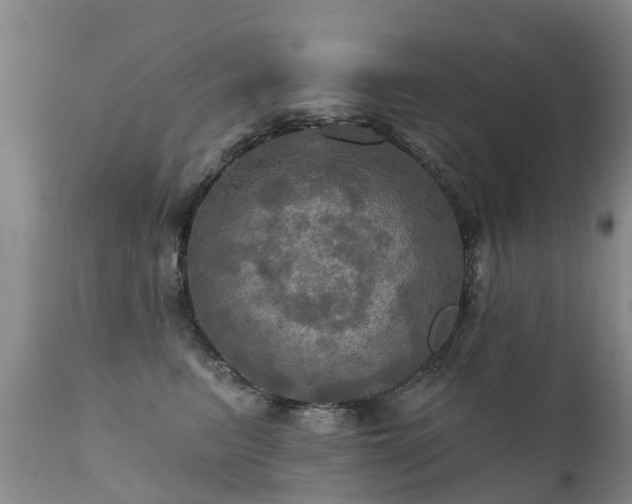 X0000112100615200908111419