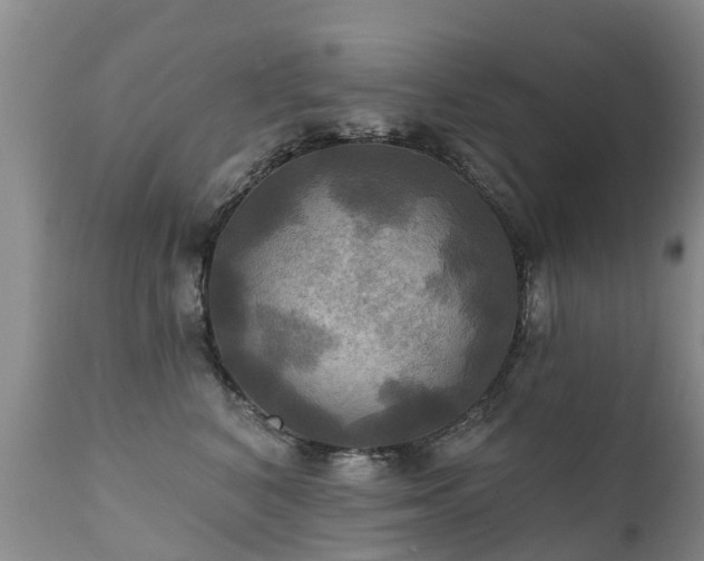 X0000112100616200908111419