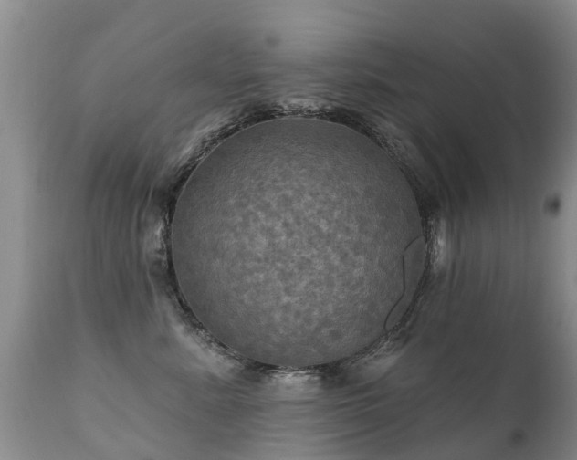 X0000112100619200908111419