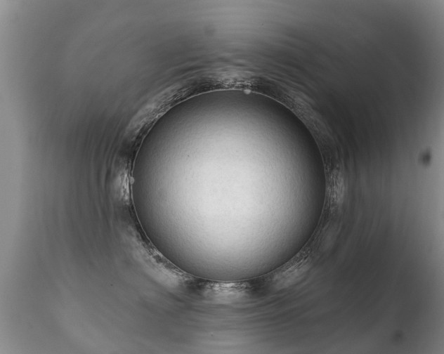 X0000112100622200908111419