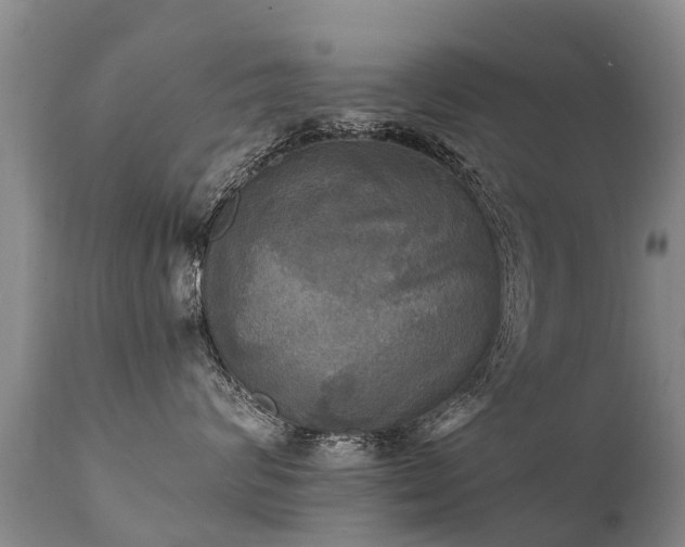X0000112100624200908111419