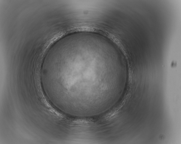 X0000112100625200908111418