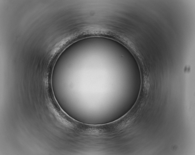 X0000112100629200908111418