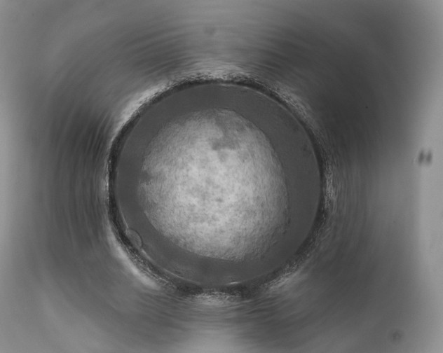 X0000112100630200908111418