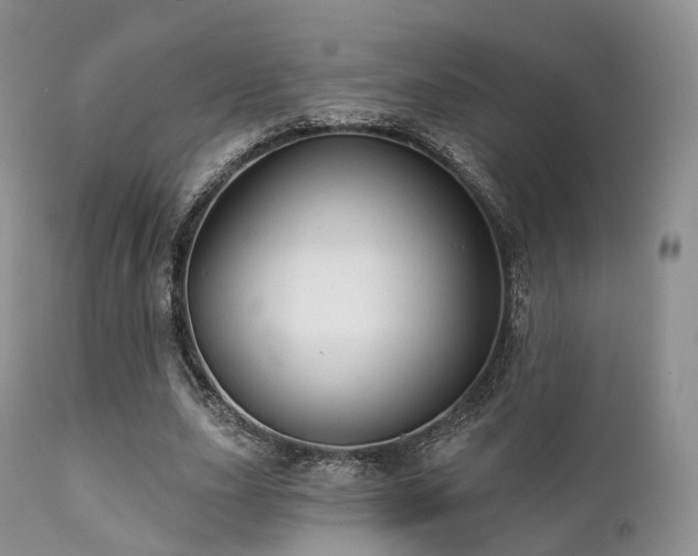X0000112100631200908111418