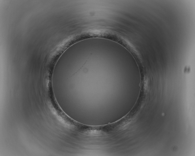 X0000112100637200908111418