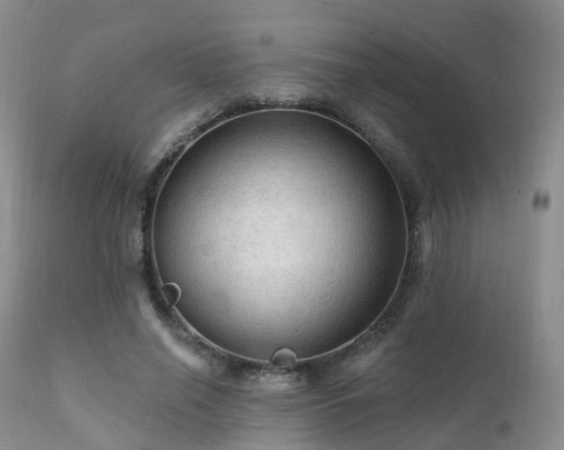 X0000112100638200908111418