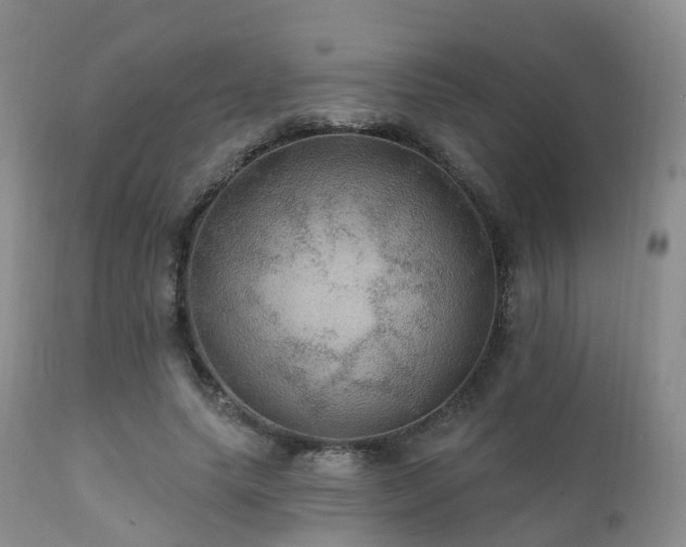 X0000112100639200908111418