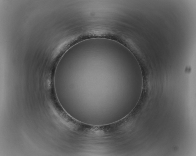 X0000112100640200908111418